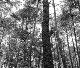 DSC_2754_DxO